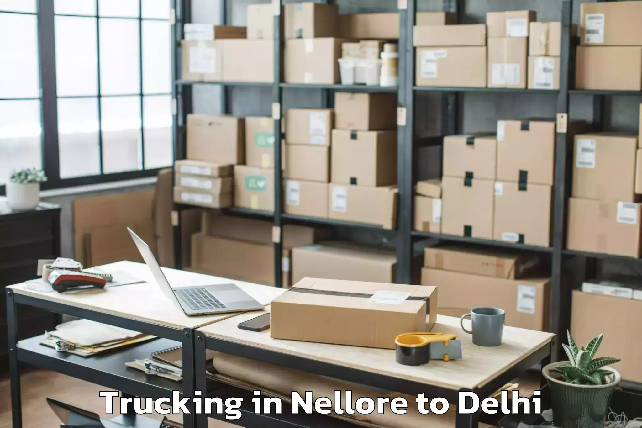 Trusted Nellore to East Delhi Mall Trucking